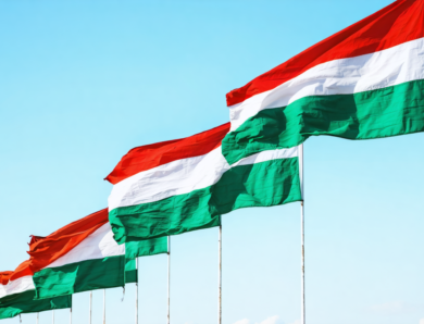 Les drapeaux tricolores verts, blancs et rouges : emblèmes vibrants de la diversité culturelle nationale