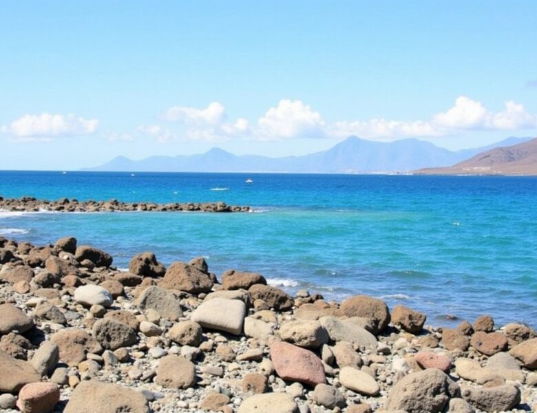 Tenerife vs Fuerteventura : Le guide complet pour dénicher votre île parfaite aux Canaries