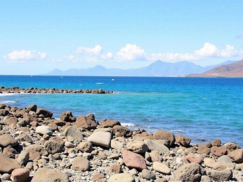 Tenerife vs Fuerteventura : Le guide complet pour dénicher votre île parfaite aux Canaries
